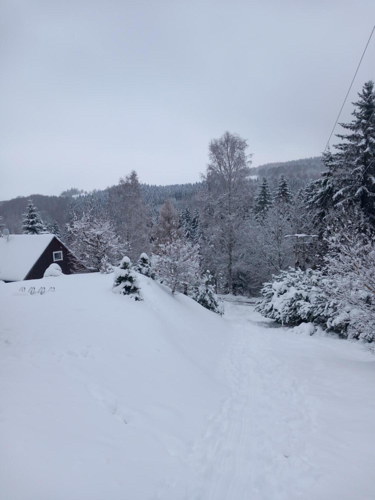Hygge Chaloupka V Horach Villa Český Jiřetín Eksteriør bilde